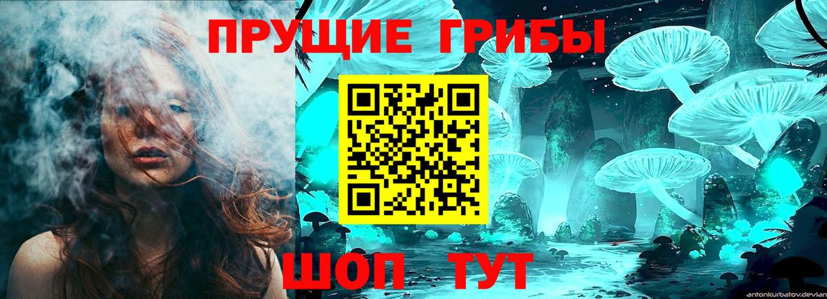 Знаменск  цены наркотик  Вход с VPN  Псилоцибиновые грибы мицелий 