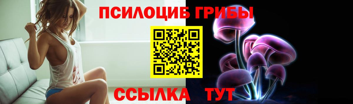 Галлюциногенные грибы Psilocybine cubensis Знаменск